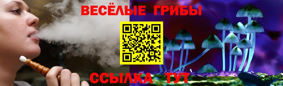Галлюциногенные грибы прущие грибы  Вход с VPN  Полысаево 